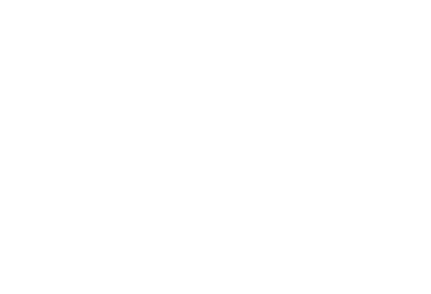 Auvergne Systems